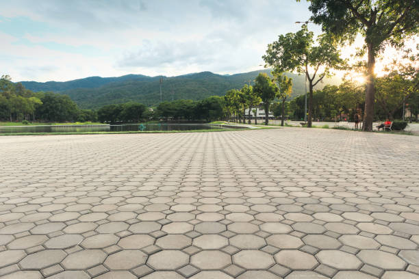 Best Driveway Paving Contractor  in Deer Park, WA